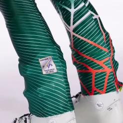 Spyder Mens World Cup Dh - Cypress Green